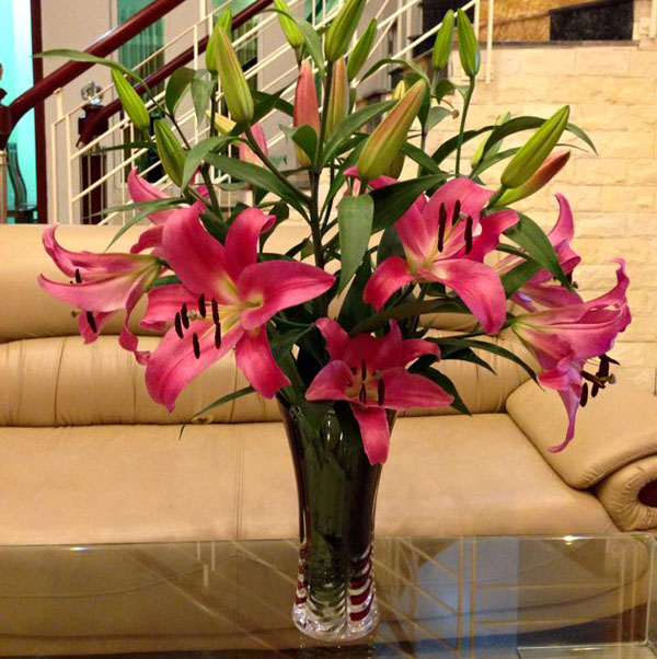 hoa cắm bình đẹp cho phòng khách