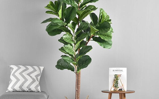 Chấm phá nét xanh trong nhà bằng cách bày đặt cây xanh 