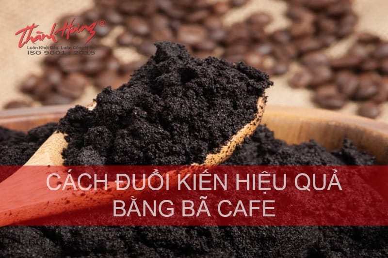 Cách diệt kiến bằng cà phê