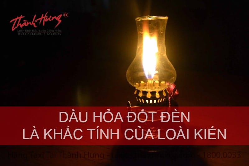 Cách diệt kiến trong nhà bằng dầu hỏa