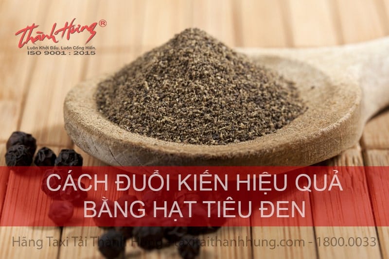 Cách đuổi kiến trong nhà bằng hạt tiêu đen