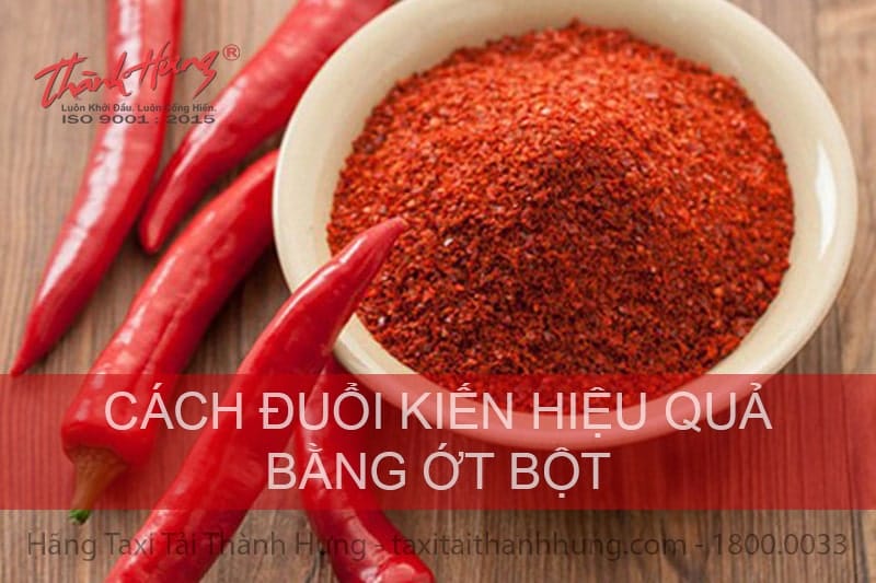 Đuổi kiến bằng ớt bột