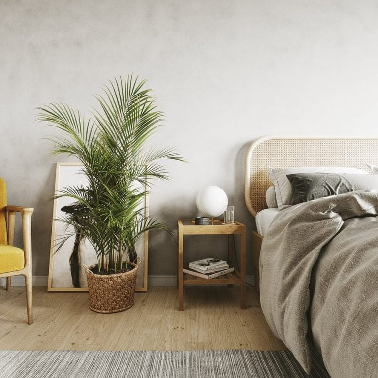 Cây xanh trong phòng ngủ giúp mang lại năng lượng tích cực