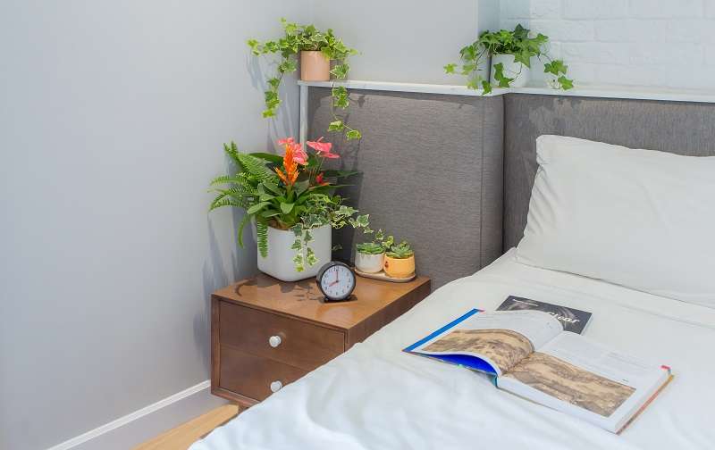Trang trí phòng ngủ với cây xanh và lọ hoa